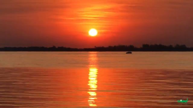 Despuntando el vicio en el río Paraná Corrientes смотреть онлайн