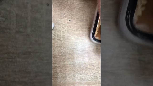 15 мая 2023 г. смотреть онлайн