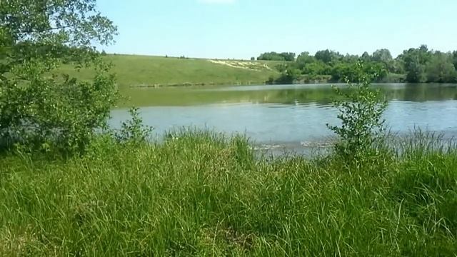Серия 15 Приучаем щенка к воде. смотреть онлайн