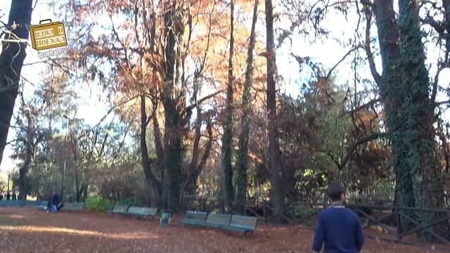 Милан - северная столица Италии. Цены, жилье, транспорт, достопримечательности смотреть онлайн