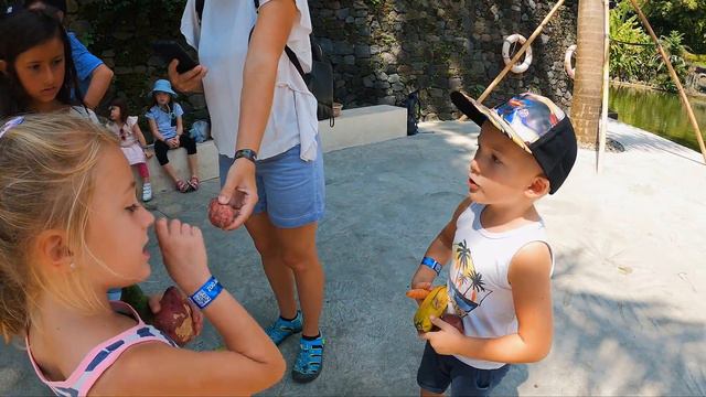 An Unforgettable Day At The Bali Zoo смотреть онлайн