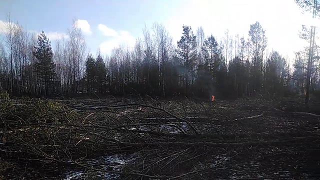 Площадка под строительство школы в Колодищах смотреть онлайн