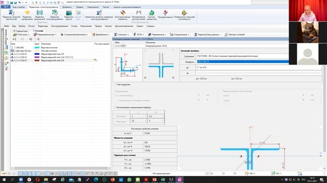 Информационная модель каркаса одноэтажного промышленного здания в программном комплексе Лира 10,12 смотреть онлайн