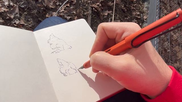 Shh! Flip-through peek at my "Secret Sketchbook" Drawing Skill Exercise & 4 Easy Rules to Start One смотреть онлайн