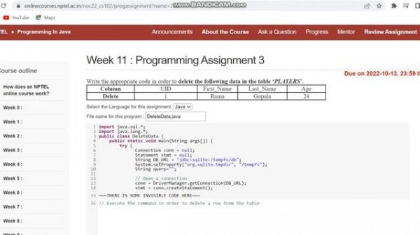NPTEL: Programming In Java Week 11 Programming Assignment Answers