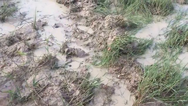 Hilai Reta смотреть онлайн