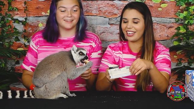 1.30 United Kingdom 🇬🇧 Snack Box Unboxing | LEMUR APPROVED смотреть онлайн