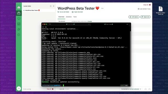 How to test WordPress beta releases with Local Blueprints, WP-CLI, or the WP Beta Tester plugin. смотреть онлайн