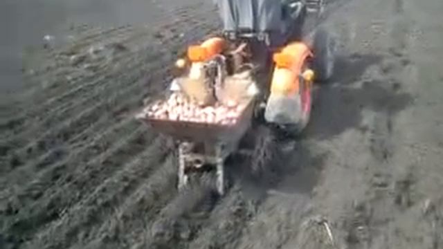 Мини трактор. Посадка кортофеля смотреть онлайн