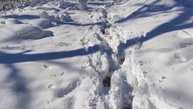 Славянск. 31 марта 2023 года. Самый снежный день смотреть онлайн