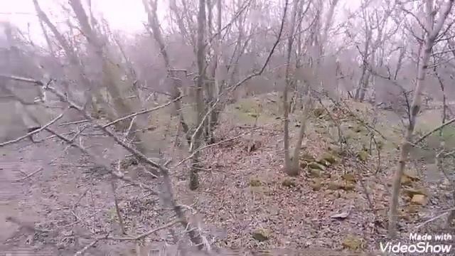 Нагрудный знак Гвардия! смотреть онлайн