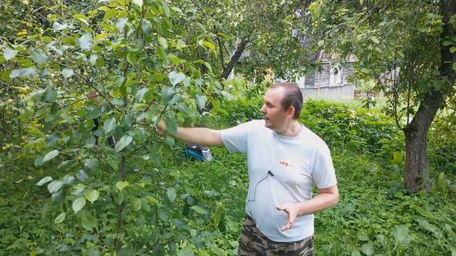 Отпуск в деревне преамбула смотреть онлайн