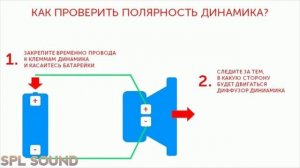 Как определить ПОЛЯРНОСТЬ ДИНАМИКА ( где ПЛЮС, где МИНУС )