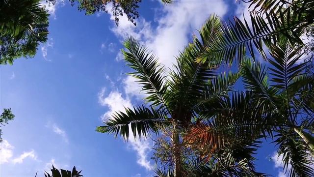 РЕЛАКС МУЗЫКА И КРАСИВОЕ ВИДЕО ДЛЯ ВАС ДАМЫ И ГОСПОДА смотреть онлайн