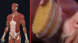 5 причин сделать массаж СУХОЙ ЩЕТКОЙ! Полный гайд по массажу щетками