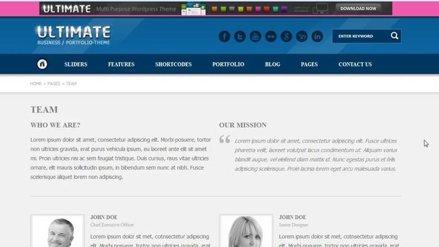 How to use "Buddha Panel" in Ultimate WP Theme смотреть онлайн