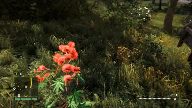 Far Cry 4 - Шангри-Ла. (Часть 23, без комментариев) смотреть онлайн