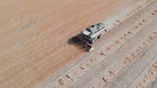 T500 — минимальные потери смотреть онлайн