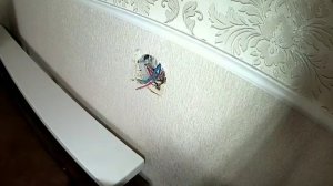 Увеличение посадочных мест или двойная розетка.