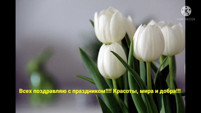 С праздником!!! ??? смотреть онлайн