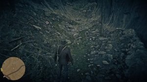 РДР 2 Где найти Орхидею «Воробьиный башмачок»