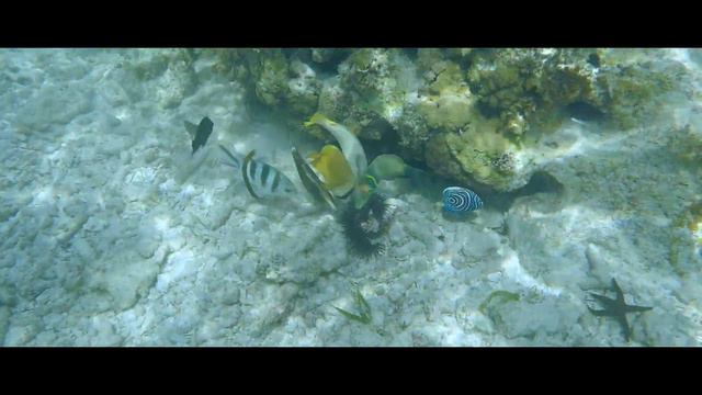 Zanzibar 2019 смотреть онлайн