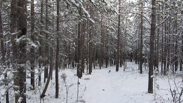 В гостях у Берендея смотреть онлайн
