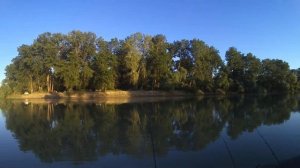 река Кубань рыбалка .ловля сома в Кубани.рыбалка на кубани.сом на печень.