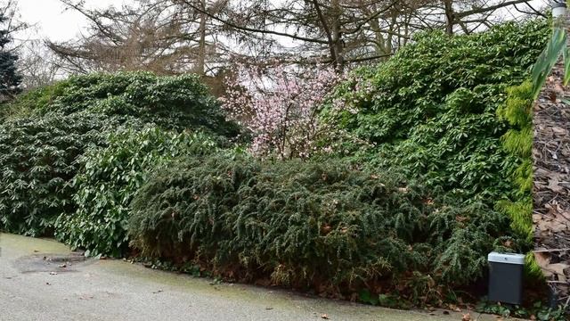 Przedwiośnie. Planten Un Blomen /Hamburg