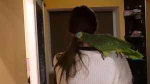 VLOG Реакция Алисы. Настя и Катя приехали. Что решили с Лимоном