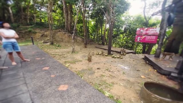 # 11 - Тайланд. Пхукет как есть. Отзывы о Пхукете. Что посмотреть на Пхукете. смотреть онлайн