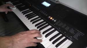 Мы бродячие артисты Yamaha PSR E463
