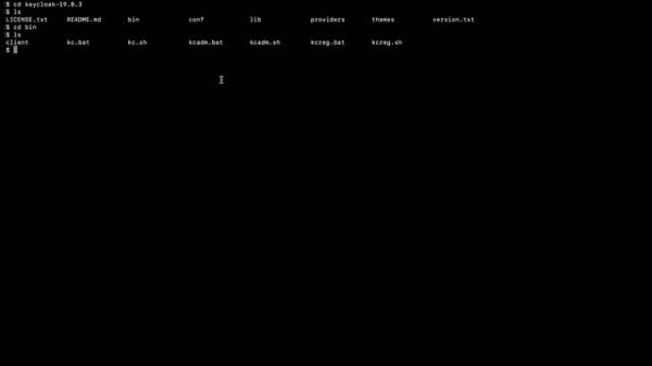 Keycloak Installation Linux | Ubuntu