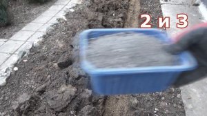 Как сажать осенью луковицы лилий с ростками. Четыре варианта для сохранения луковиц лилий.