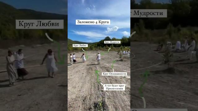 Мы затворили Рощу Мудрости смотреть онлайн