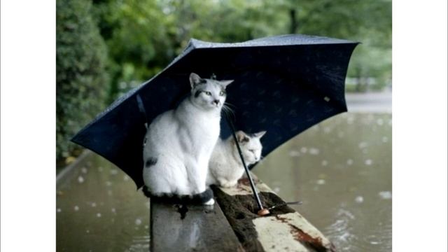 Почему гремит гром и сверкает молния смотреть онлайн