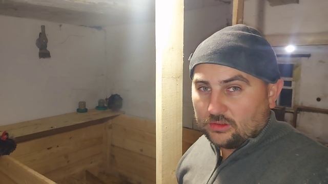 шевеление поросят в животе)) что с ПЕПОЙ??? смотреть онлайн