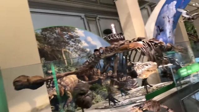 Smithsonian’s National Museum of Natural History Washington D.C. смотреть онлайн