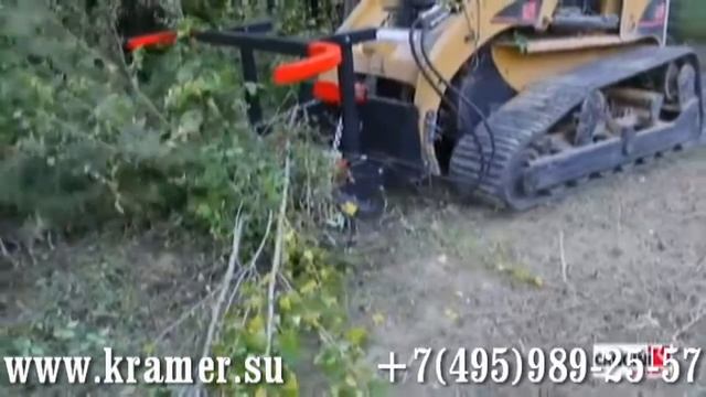 Пила секатор для кустарника CanginiBenne смотреть онлайн