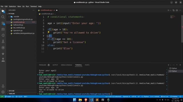 Conditionals (if, elif & else) and Ternary Operations in Python | Python Tutorial смотреть онлайн