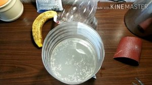 Самая эффективная ловушка для мух за несколько минут