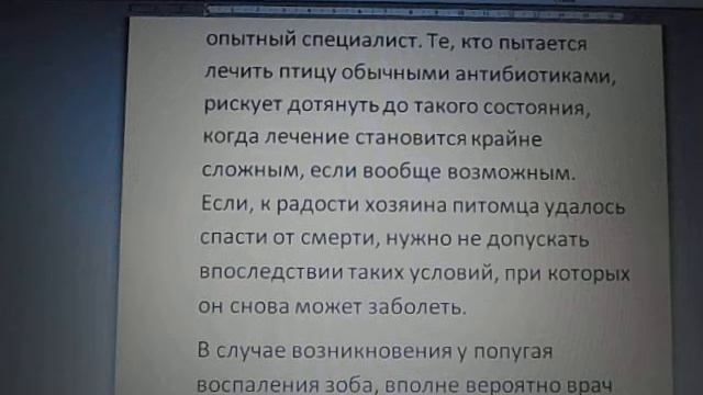 Воспаление зоба у попугаев смотреть онлайн