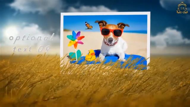 ✨Photo slideshow butterfly field. Слайд-шоу с эффектами 3д параллакс. Видео из фото.💖 смотреть онлайн