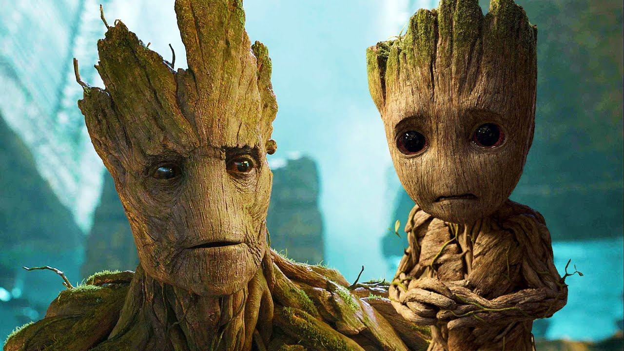 РАЗУМ РАСТЕНИЙ. КАК ДЕРЕВЬЯ ОБЩАЮТСЯ без лайков и мессенджеров? смотреть онлайн