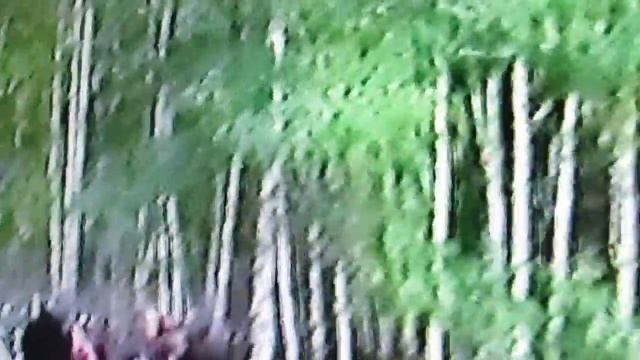 песня про журавлей смотреть онлайн