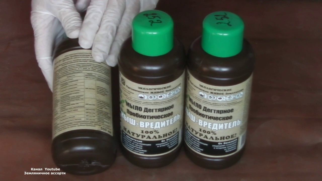 ЭКОЛОГИЧЕСКИ ЧИСТОЕ СРЕДСТВО ЗАЩИТЫ РАСТЕНИЙ ДЕГТЯРНОЕ МЫЛО КЫШ ВРЕДИТЕЛЬ смотреть онлайн