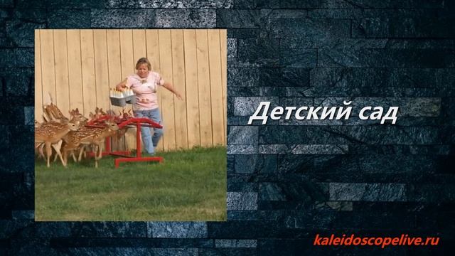 Детский сад смотреть онлайн