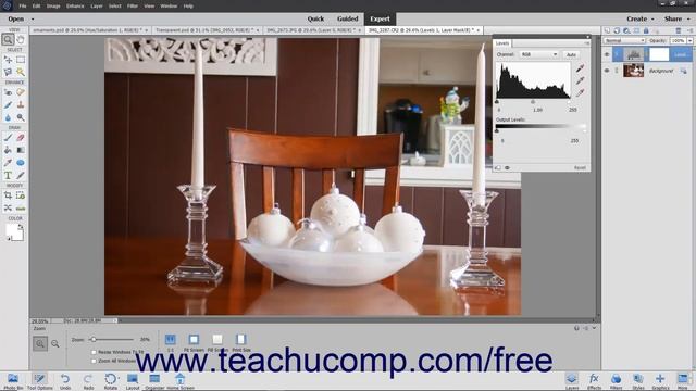 Learn How to Create Adjustment Layers and Fill Layers in Adobe Photoshop Elements 2023: A Tutorial смотреть онлайн