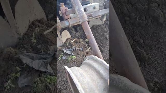19 февраля посадка картошки с помощью мотоблока смотреть онлайн