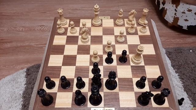 Шахматы. Ферзя ловим на пешку. Правильная защита Каро-Канн. Обучение шахматам. смотреть онлайн